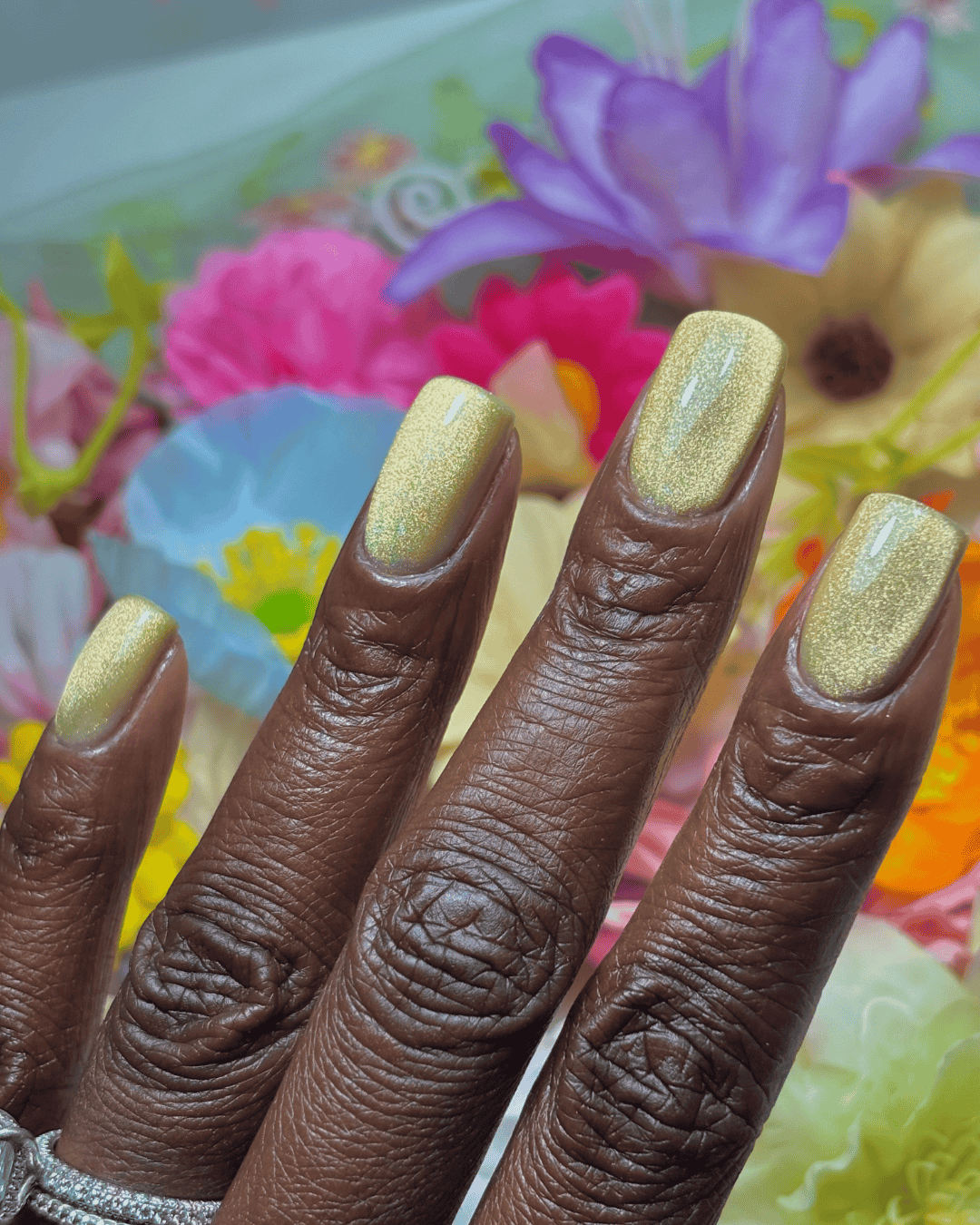 A Fairytale Begins... Cat Eye Gel Polish Collection