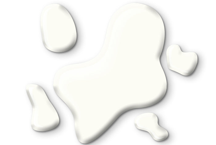 Pure Foundation - Swan