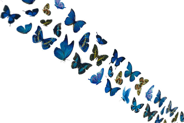 115 - Speckled Blues Butterfly Foil