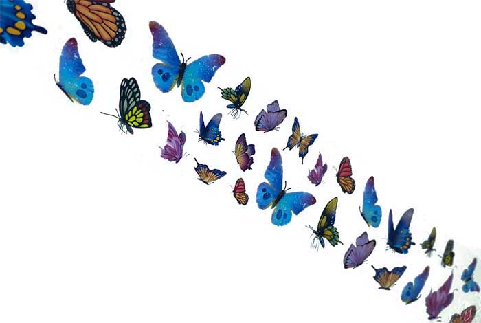 101 - Rainbow Delights Butterfly Foil