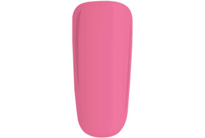 Detail Paint - Rhubarb